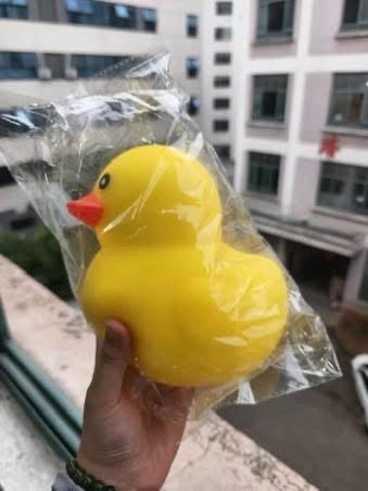 Jumbo Duck Squishy