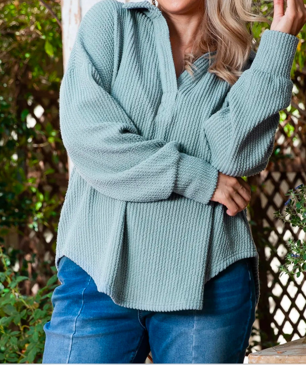 Plus Size Textured Johnny Collar Long Sleeve