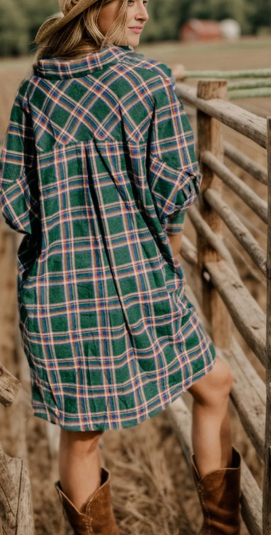 Plaid Button Up Collared Neck Shirt Dress Amazing Willow Co