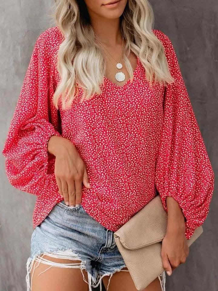 Printed Vneck Long Sleeve Blouse