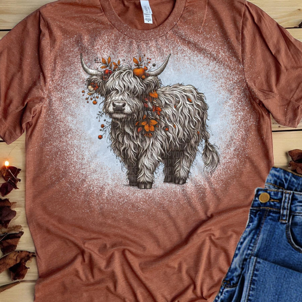 Fall Highland Cow