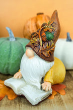 Load image into Gallery viewer, Pumpkin Gnome or Book Gnome
