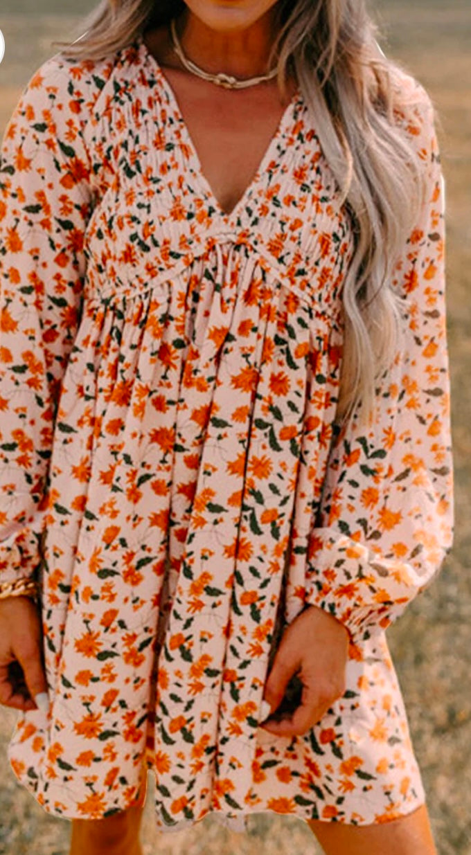 Smocked Printed V-Neck Long Sleeve Dress