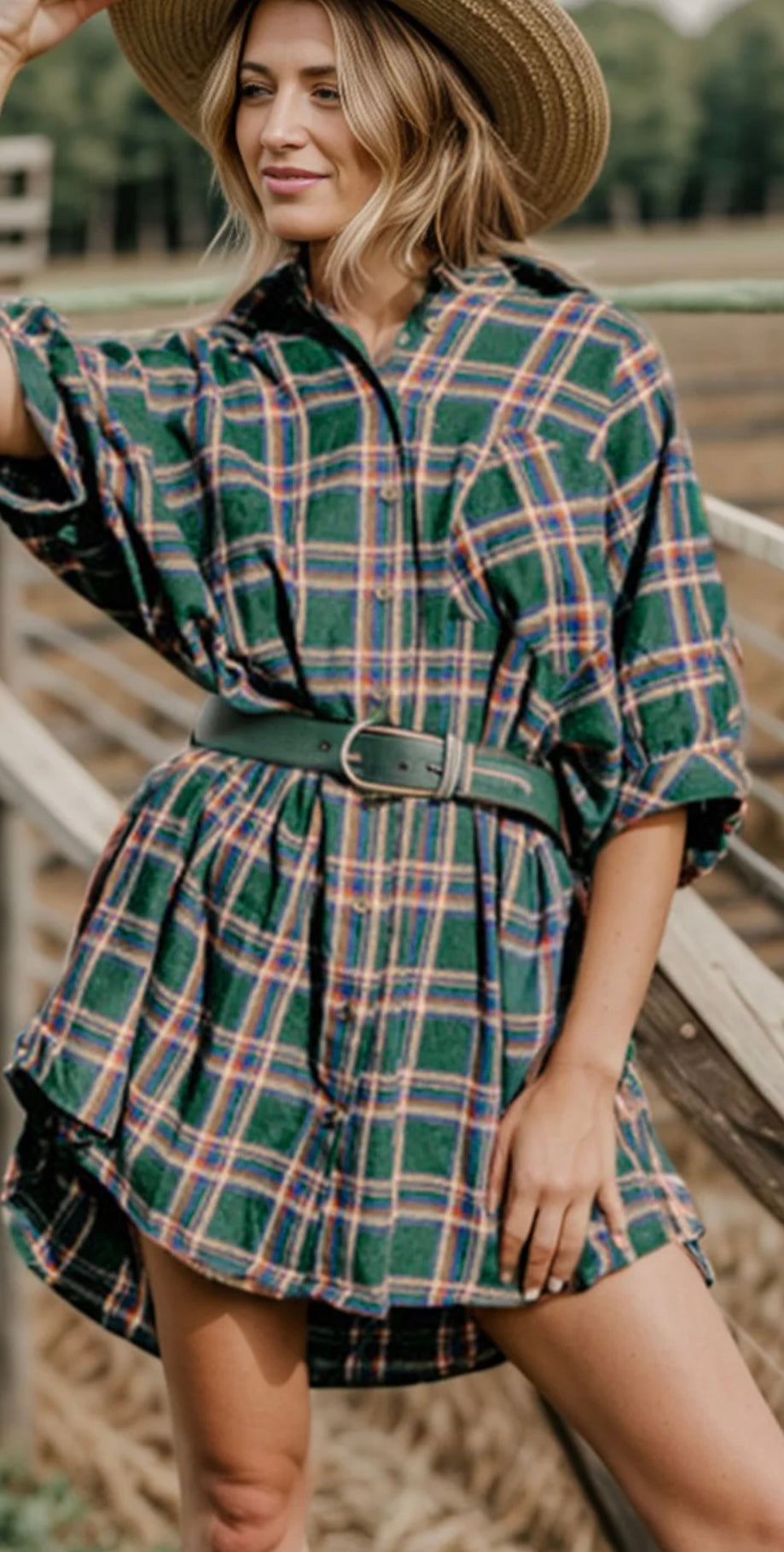 Plaid Button Up Collared Neck Shirt Dress Amazing Willow Co