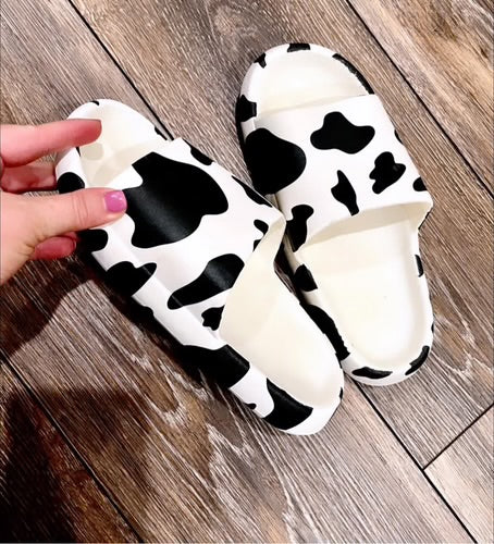 Cow Slides