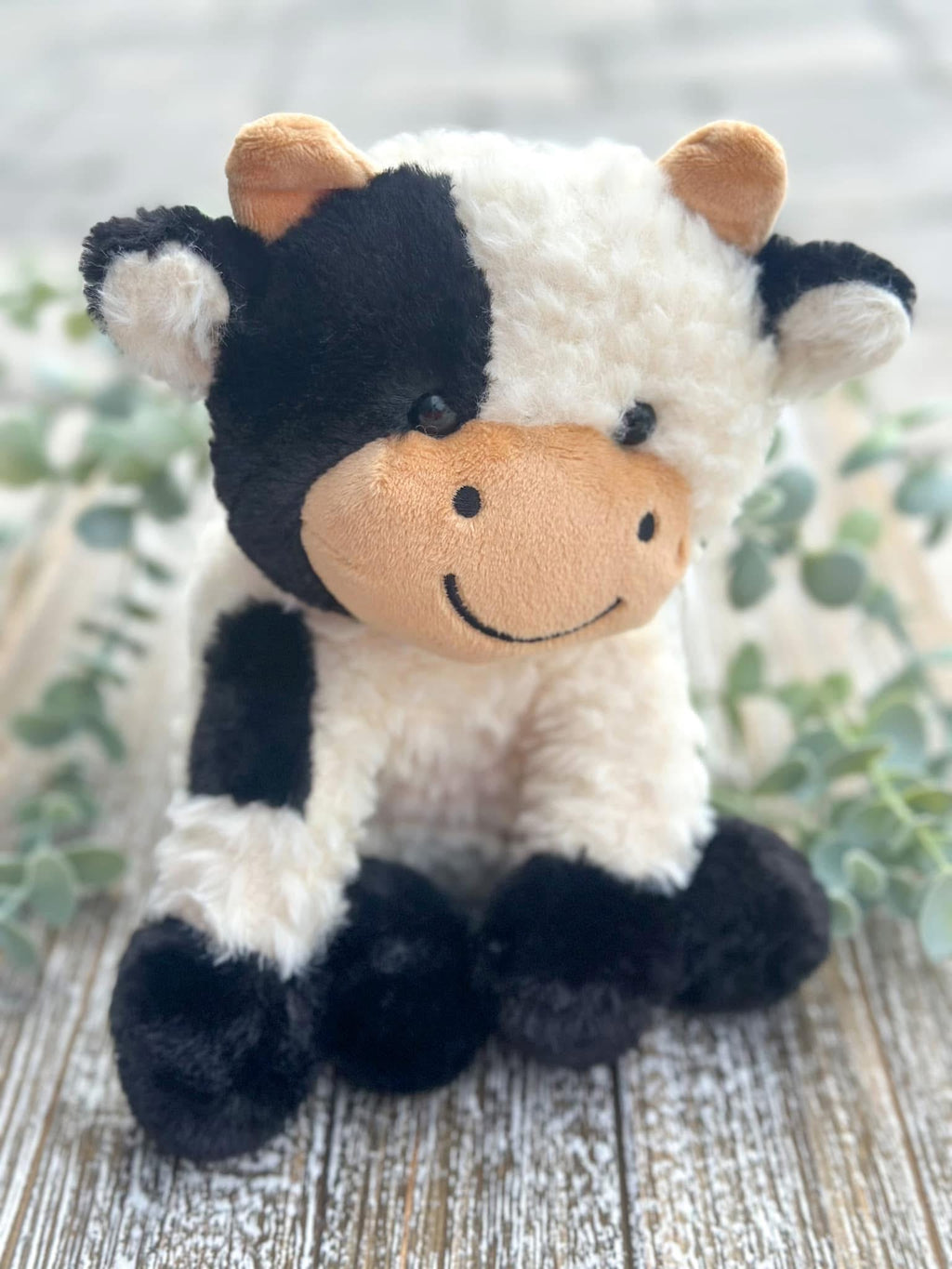 Daisy Cow