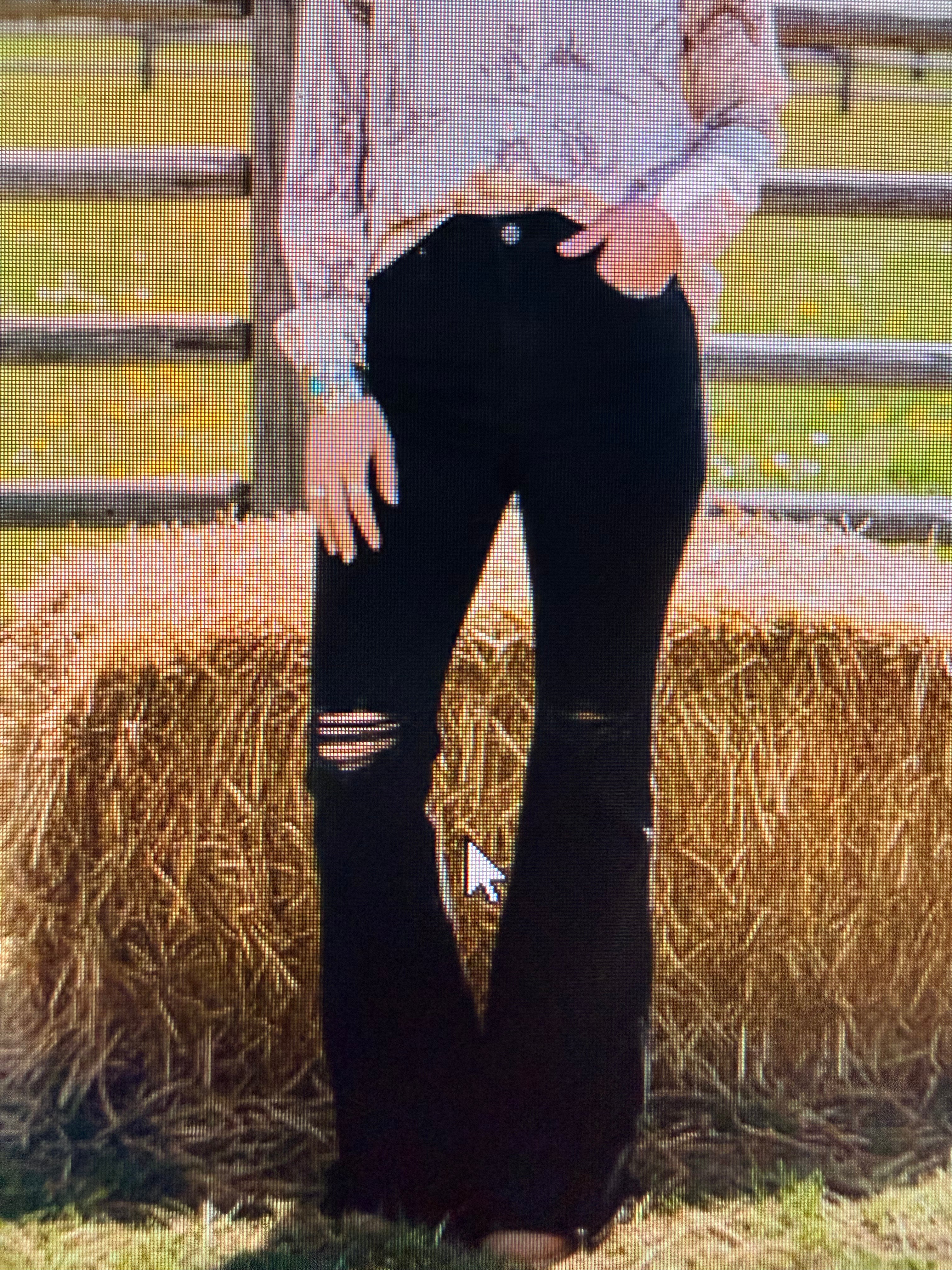 Black Denim Ripped Flare Legs