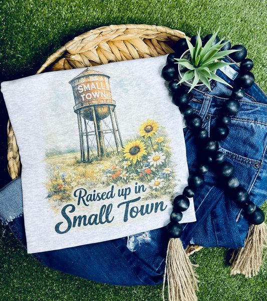 Raised up in Small Town (Gildan Tee)