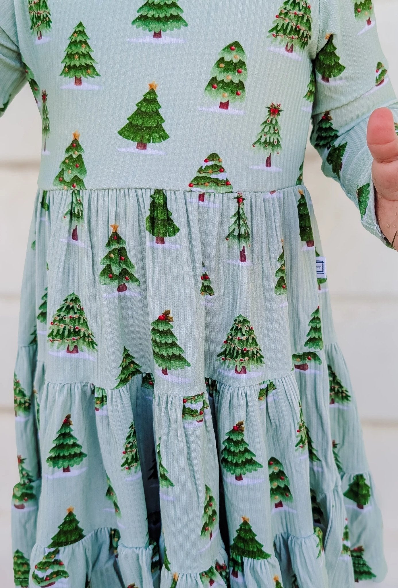 Long Sleeve Twirl Dress & Short Set