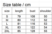 Load image into Gallery viewer, Floral Embroidered Puff Sleeve Notched V Neck Blouse
