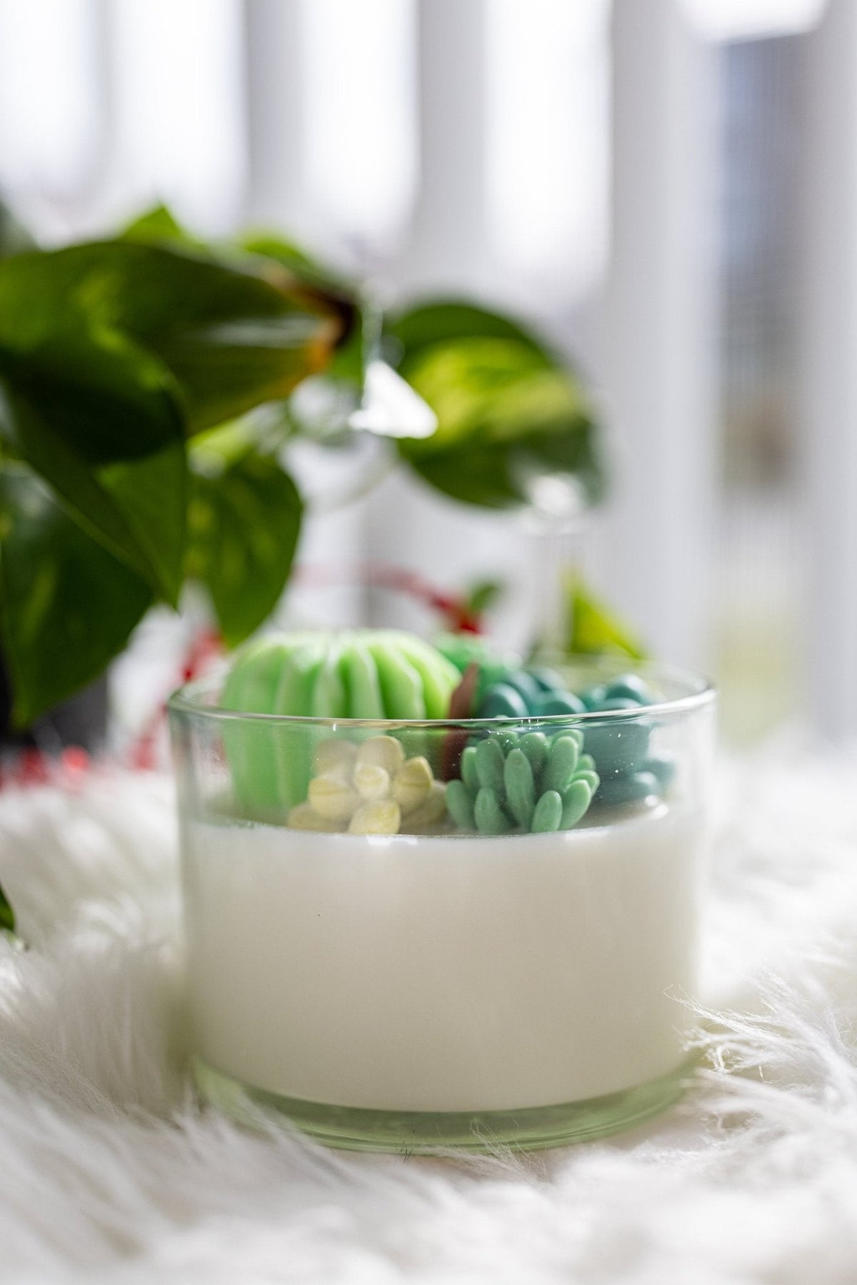 Succulent Cacti Candle with Glass Terrarium Garden Gift, Cactus Blossom Scent