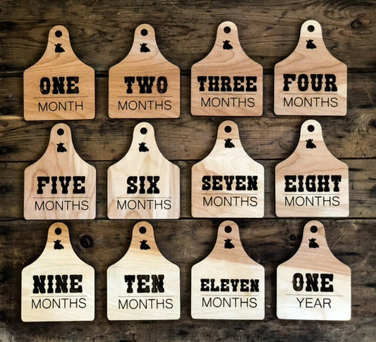 Ear Tag Milestones Eleanor Delilah