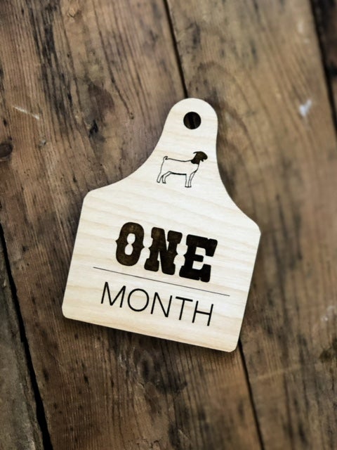 Ear Tag Milestones
